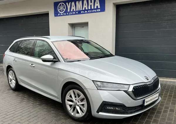 skoda Skoda Octavia cena 84900 przebieg: 19000, rok produkcji 2022 z Rzepin